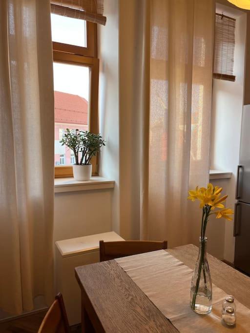 Apartman Pod Valdickou Branou Jicin Exterior foto